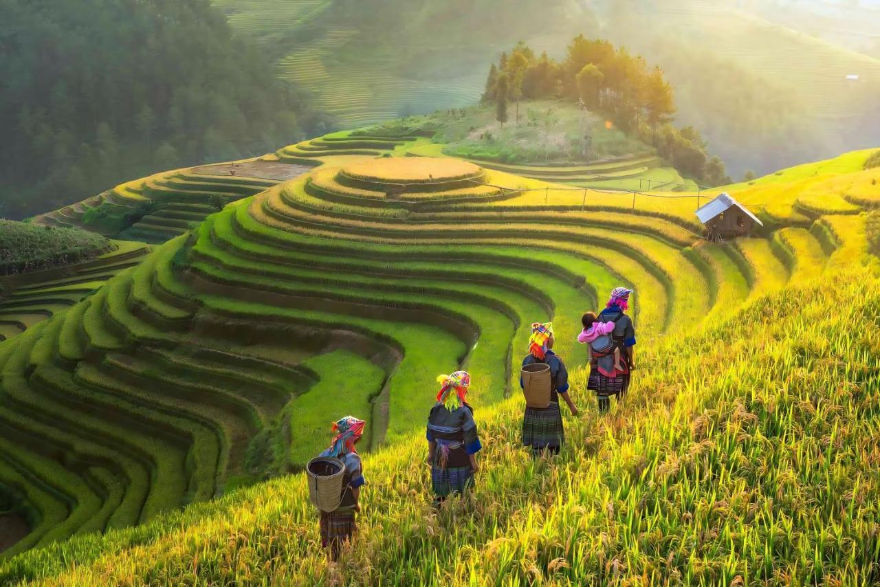 Central Sapa Charm Hotel Eksteriør billede